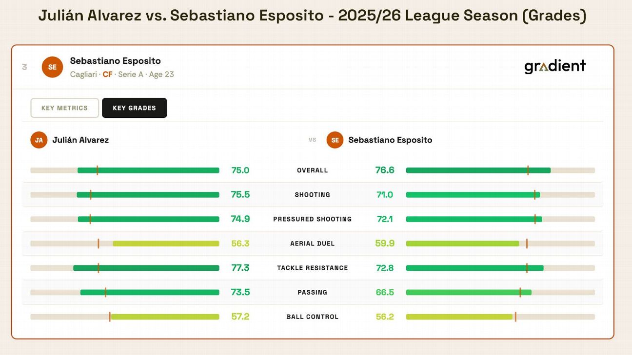 巴萨若想找阿尔瓦雷斯型中锋，选择其实并不多
